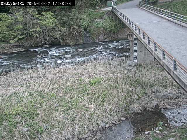 最新監視カメラ画像