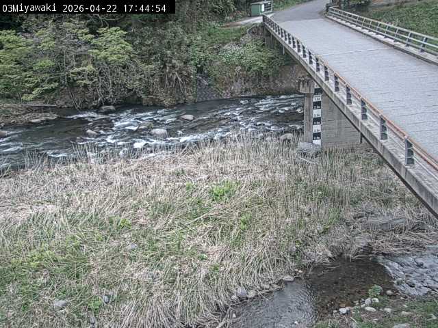 最新監視カメラ画像