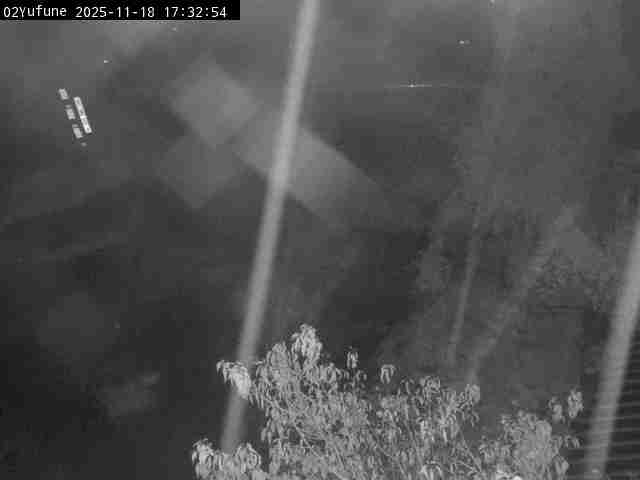 最新監視カメラ画像