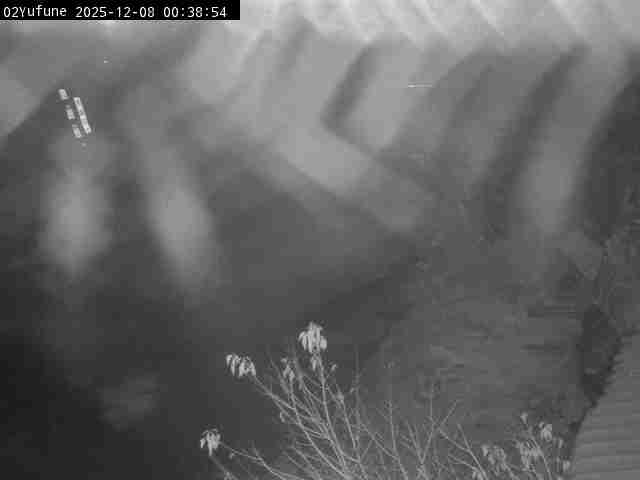 最新監視カメラ画像