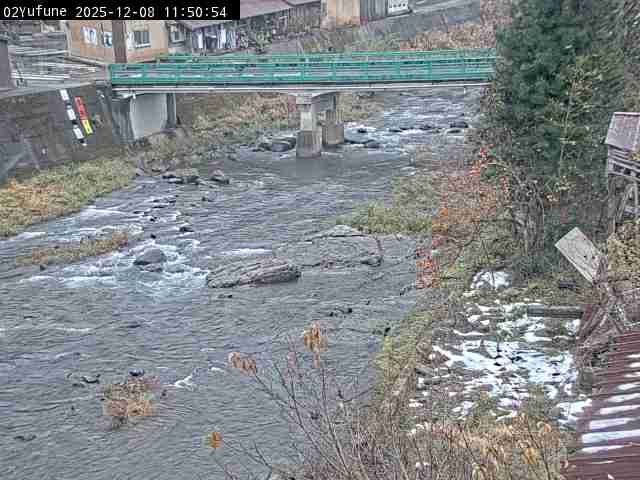 最新監視カメラ画像