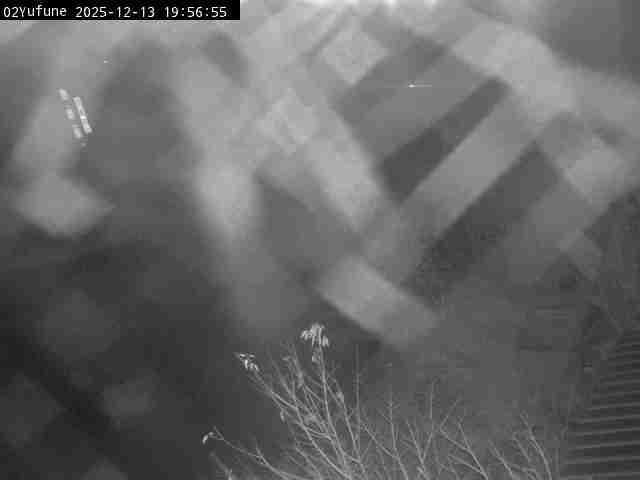 最新監視カメラ画像