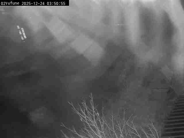 最新監視カメラ画像