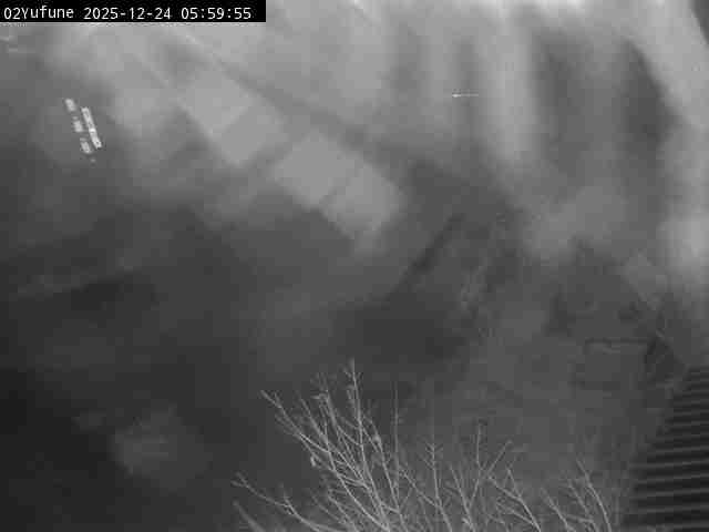 最新監視カメラ画像