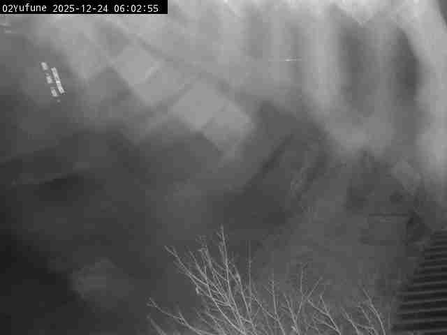 最新監視カメラ画像