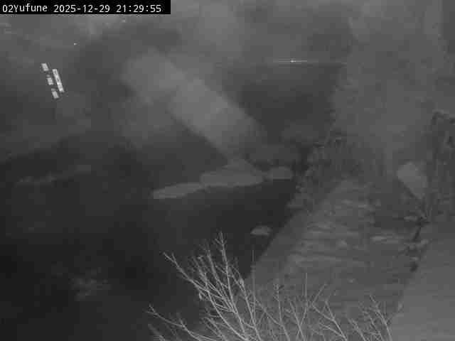 最新監視カメラ画像