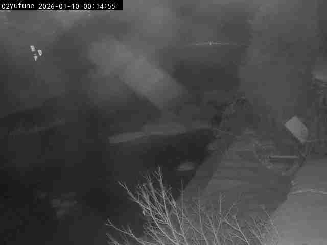 最新監視カメラ画像