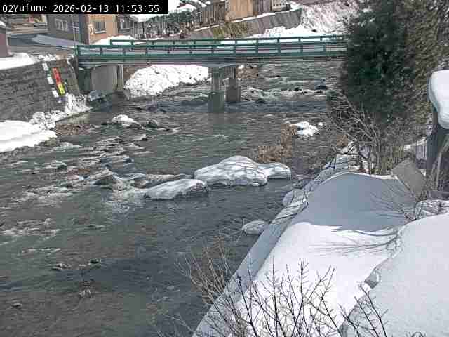 最新監視カメラ画像