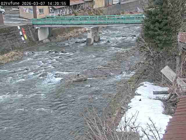 最新監視カメラ画像