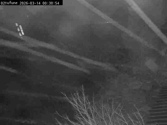 最新監視カメラ画像