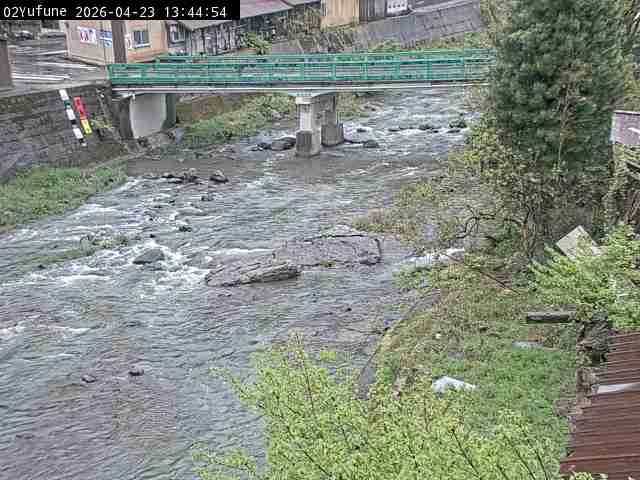 最新監視カメラ画像