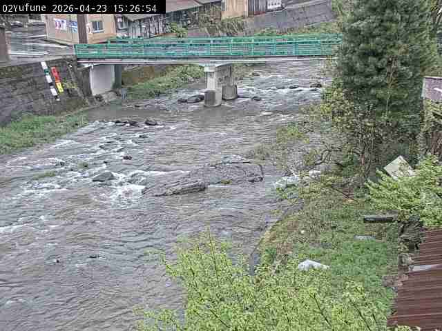 最新監視カメラ画像