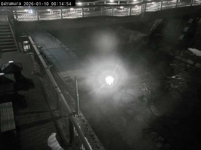 最新監視カメラ画像