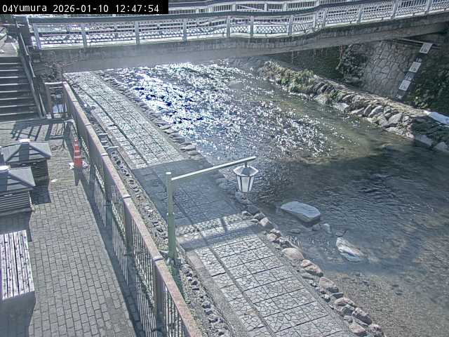 最新監視カメラ画像