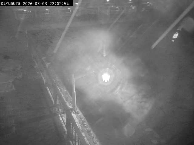 最新監視カメラ画像