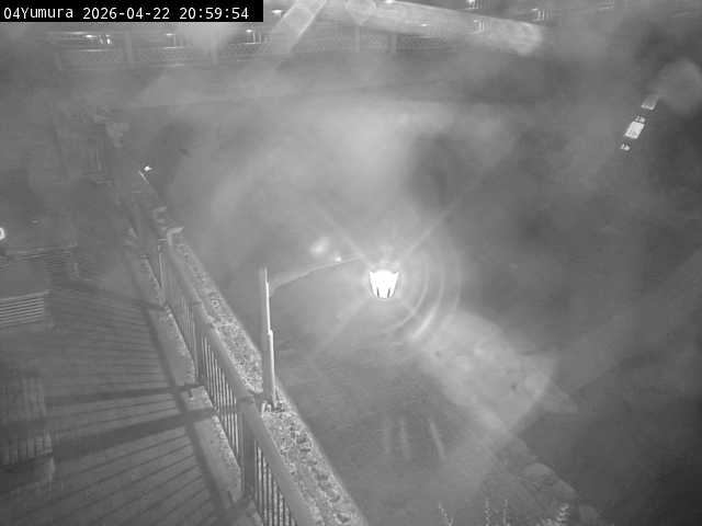 最新監視カメラ画像