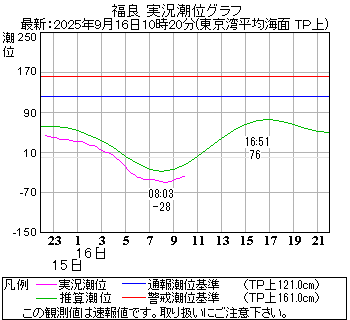 湾岸グラフ