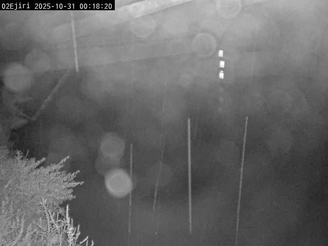 最新監視カメラ画像