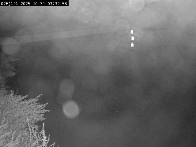 最新監視カメラ画像