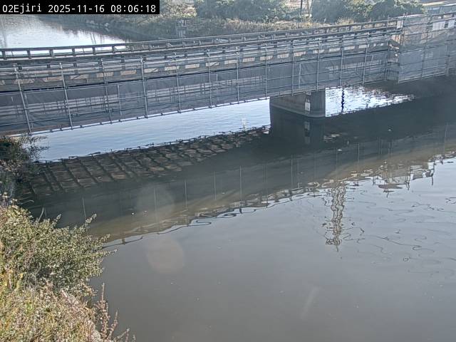 最新監視カメラ画像