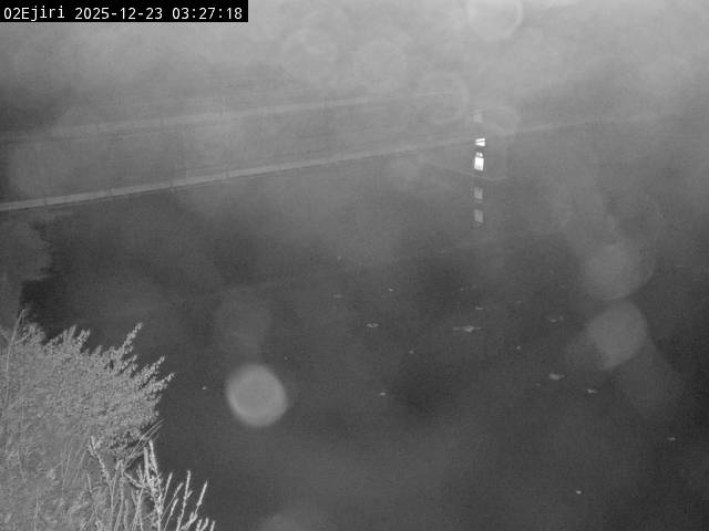 最新監視カメラ画像