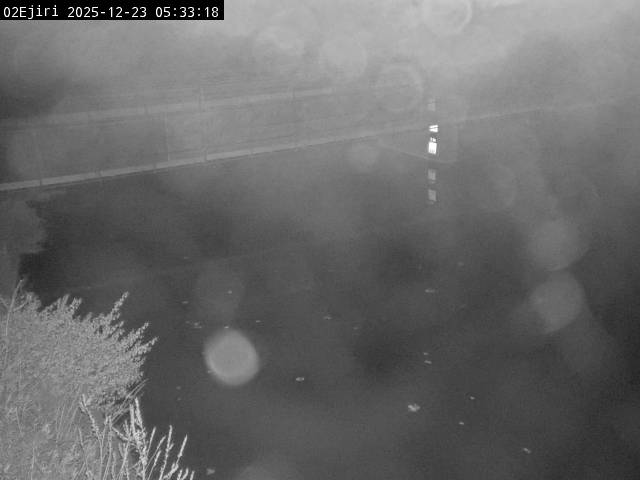 最新監視カメラ画像