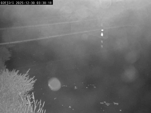 最新監視カメラ画像