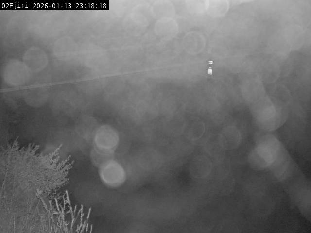 最新監視カメラ画像