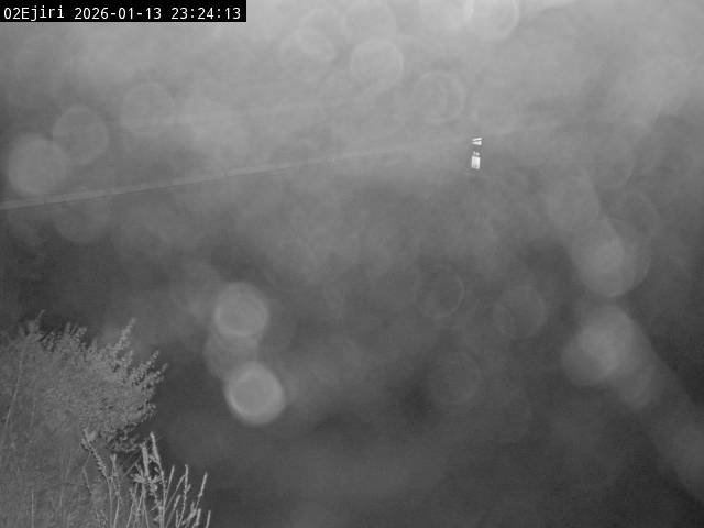 最新監視カメラ画像