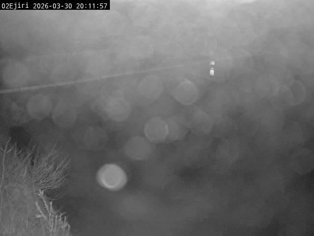 最新監視カメラ画像