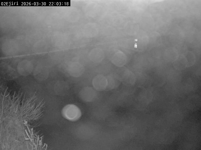 最新監視カメラ画像