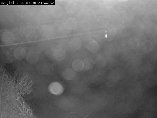 最新監視カメラ画像