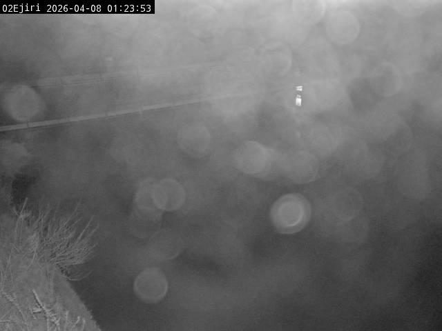 最新監視カメラ画像