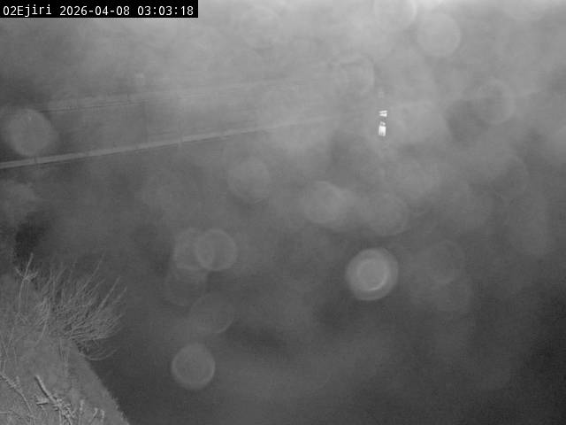 最新監視カメラ画像