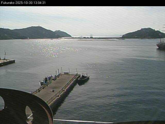 最新監視カメラ画像