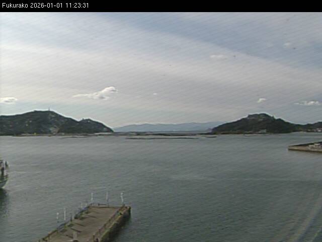 最新監視カメラ画像