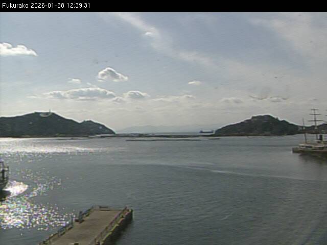 最新監視カメラ画像