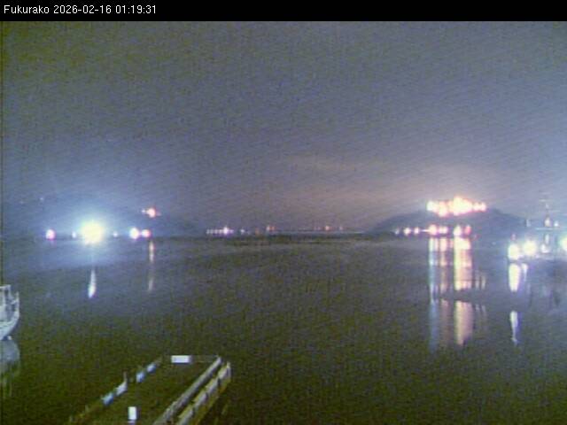 最新監視カメラ画像