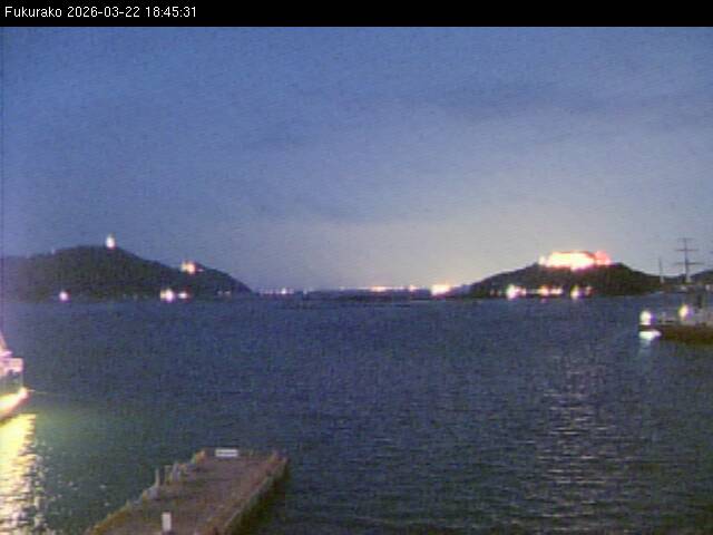 最新監視カメラ画像