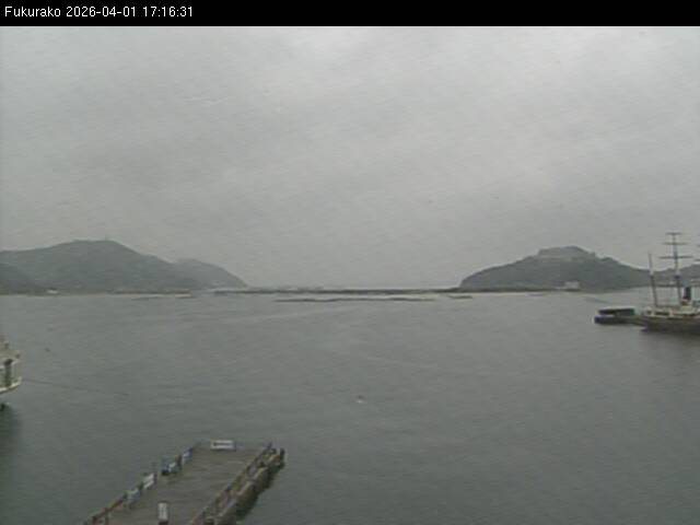 最新監視カメラ画像