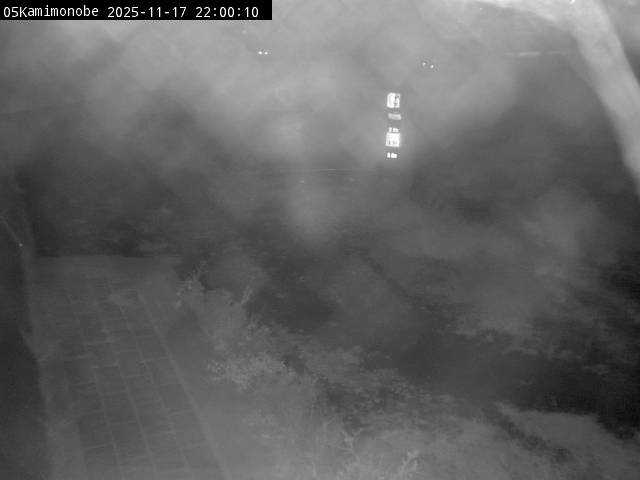 最新監視カメラ画像