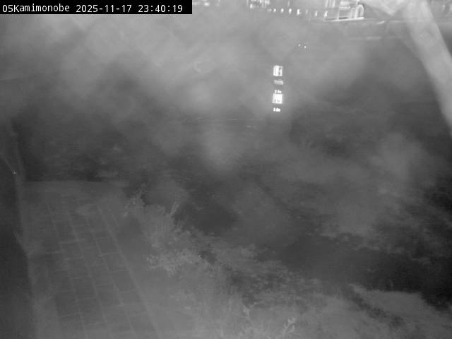 最新監視カメラ画像