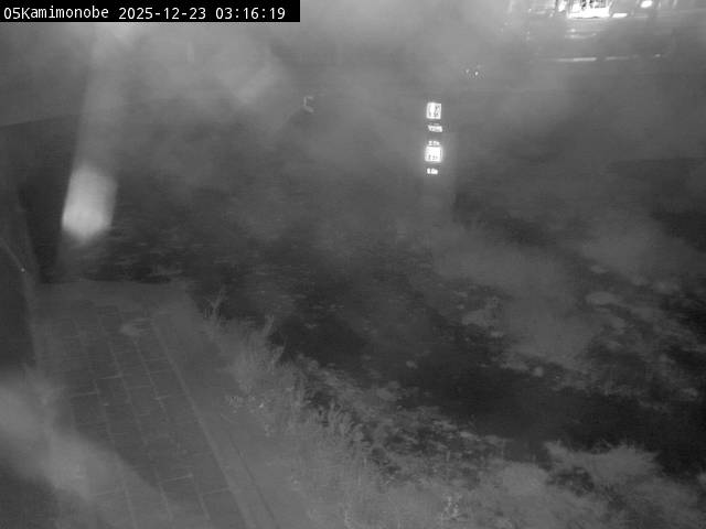 最新監視カメラ画像