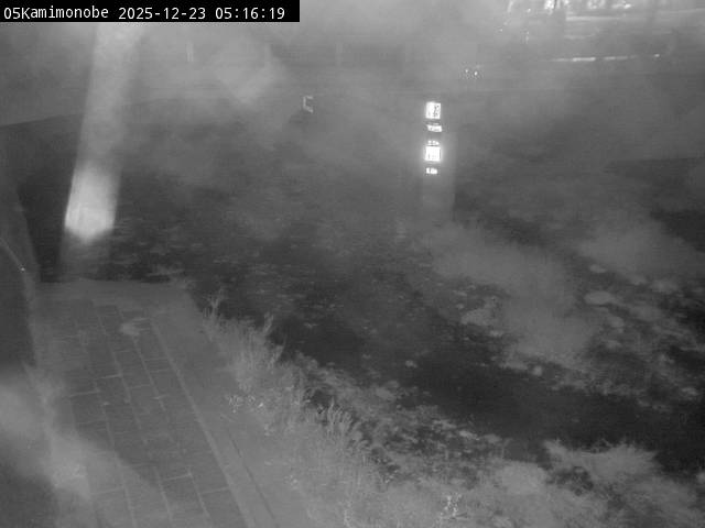 最新監視カメラ画像