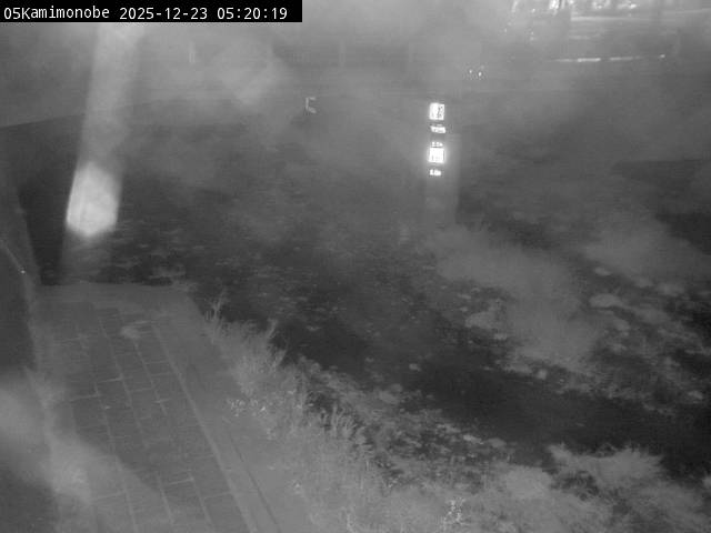 最新監視カメラ画像