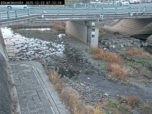 最新監視カメラ画像