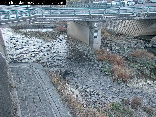 最新監視カメラ画像