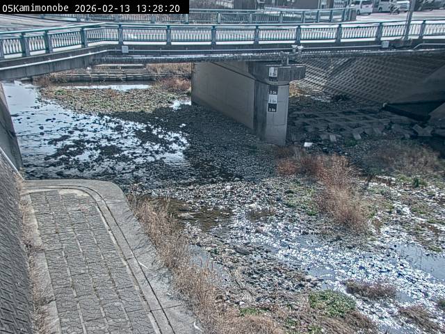 最新監視カメラ画像