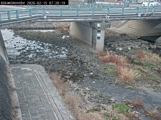 最新監視カメラ画像