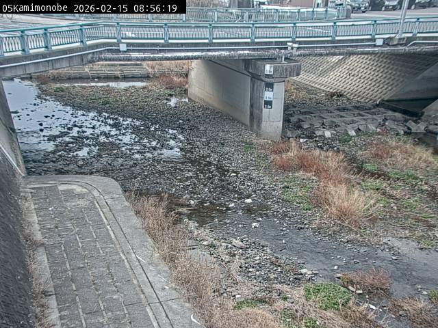 最新監視カメラ画像